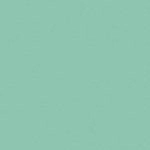 SANDERSON PAINT CARIBBEAN BLUE  119